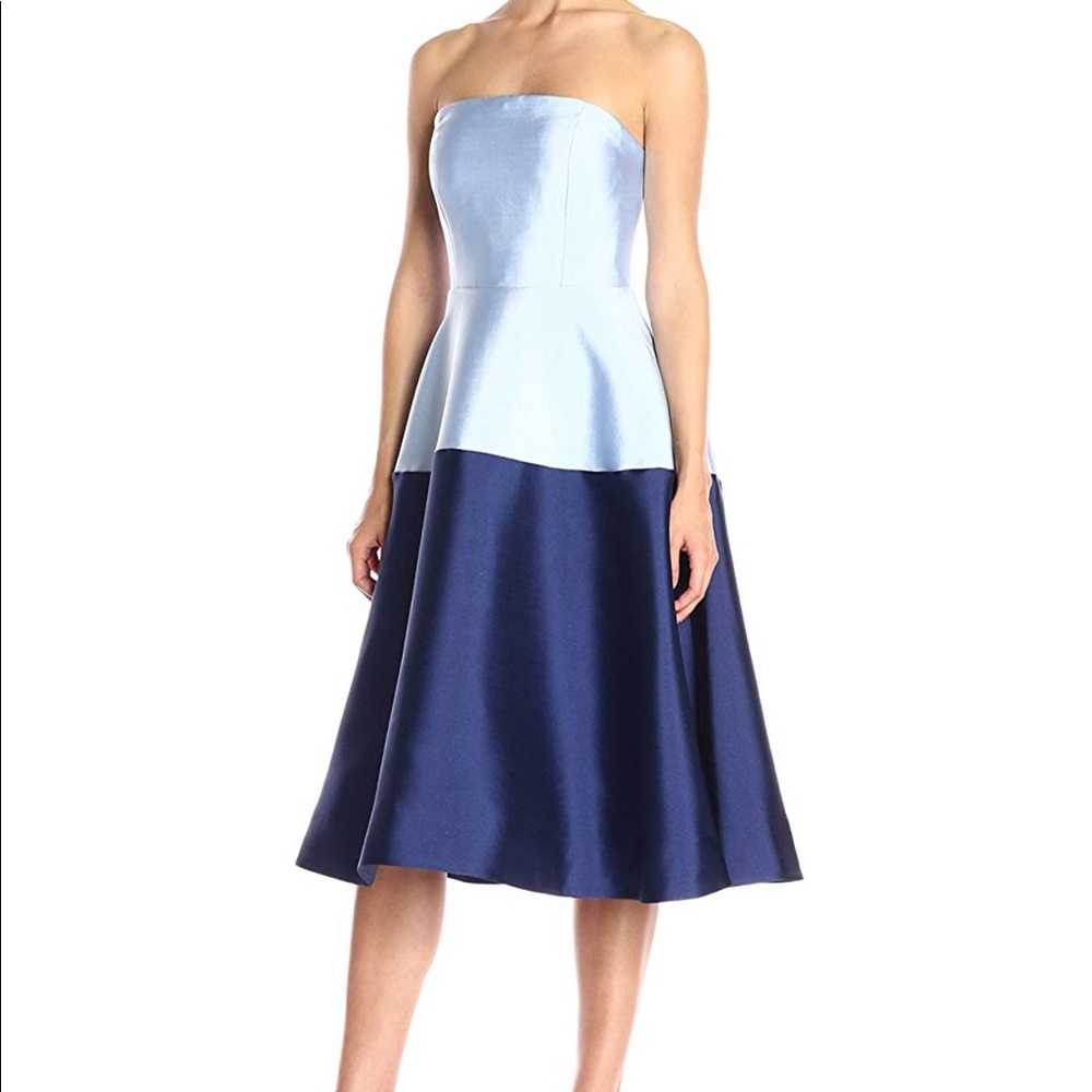 Erin Fetherston Waldorf a line strapless dress